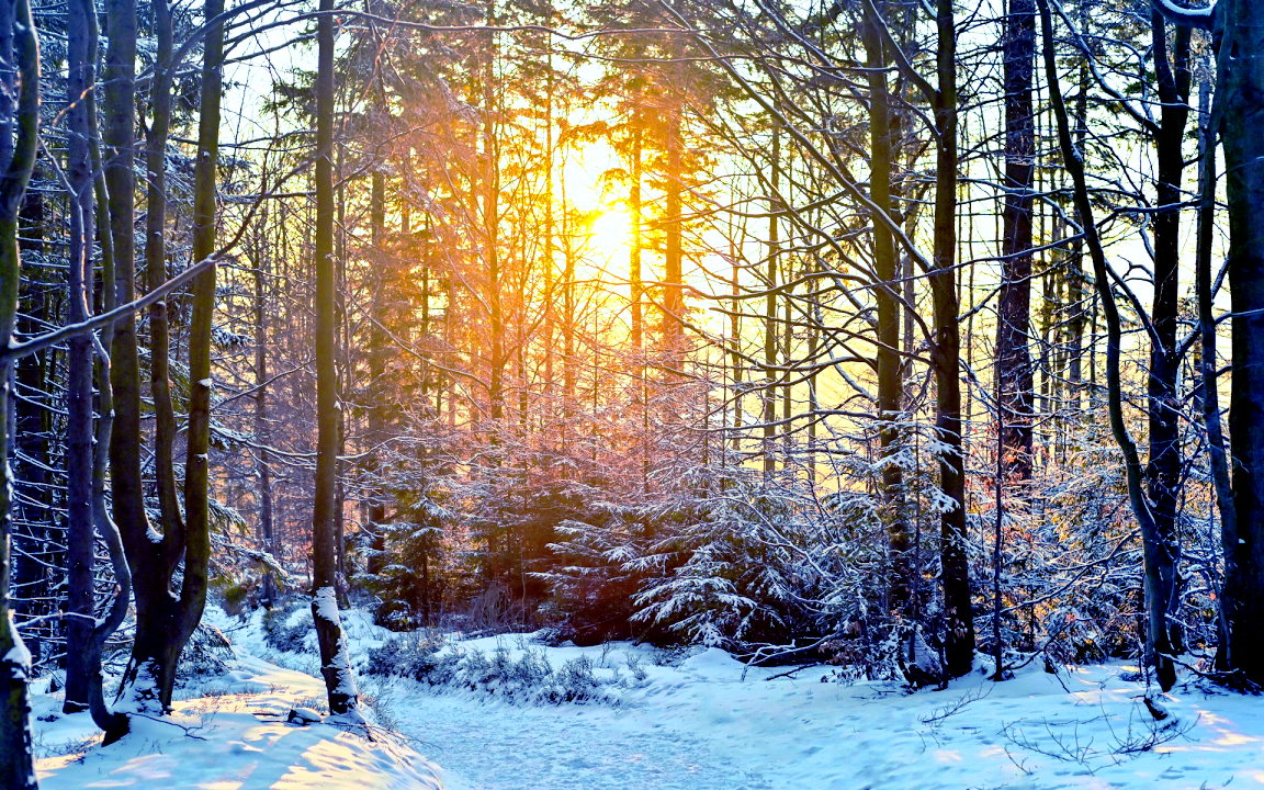 Description de l’image