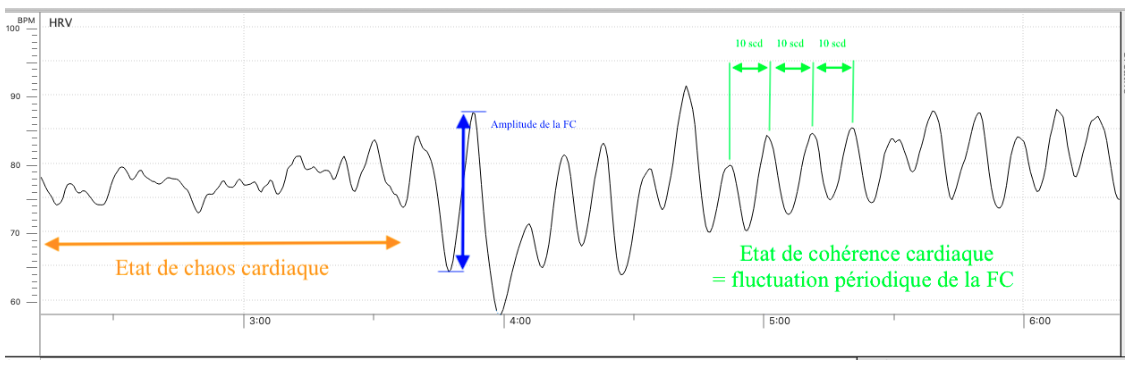 Graphique montant les résultats de la Méthode 365