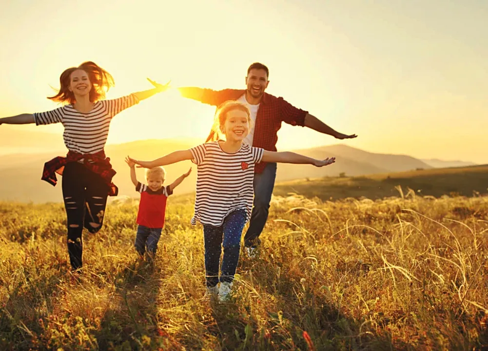 Description de l’image