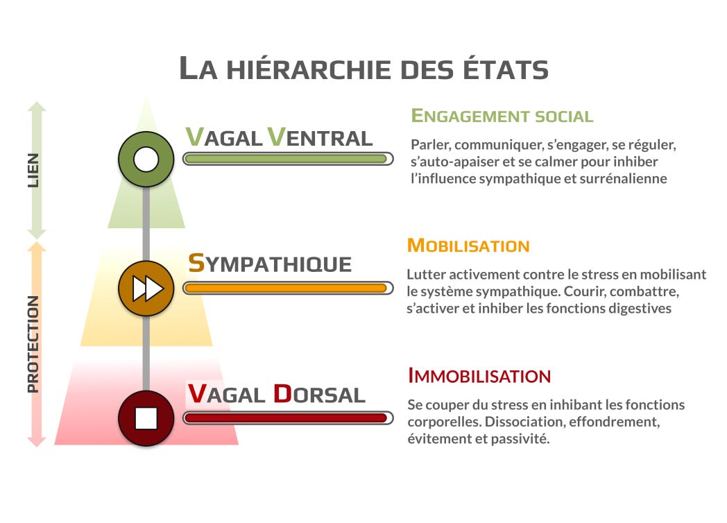 Les états du nerf vague